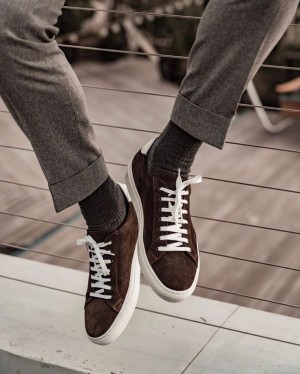 8 Pazolini на Аэропорту