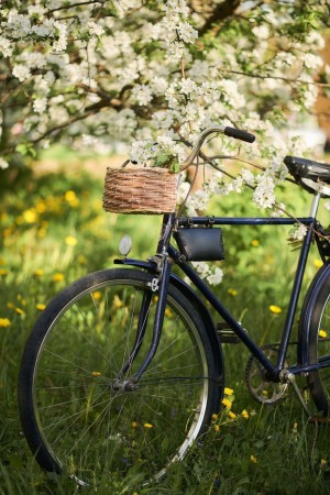 ВелоСтрана на Соколе