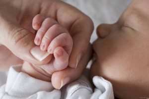 9 Городская клиническая больница им. В.В. Вересаева в Бескудниково