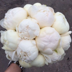 Gloryfiori