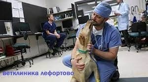 ЛефортовоВет на Авиамоторной