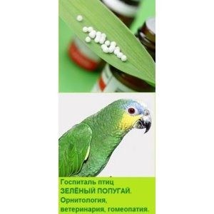 Ветклиника Зеленый попугай