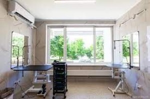 100 Doc&Dog на Юго-Западной