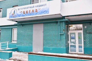 19 Ветклиника Акела