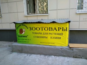 Ахатинка на Полежаевской