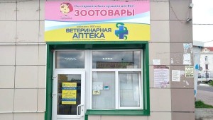 Aqua Project на Петровском парке