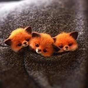 Goodgoose.ru на Дмитровской