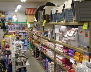 Ветна на Беговой