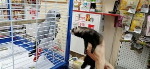 48 Твой Зоомир на Войковской