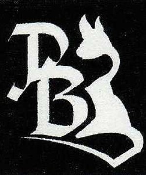 6 Padybast на Панфиловской