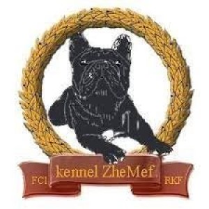 Жемеф на Коптево