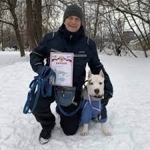 Звезда Амерланд на ВДНХ