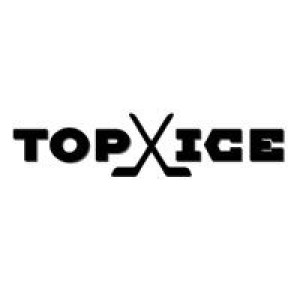 Topice на Зорге