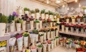 ROZA4U на Университете