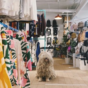 Friend&Function на Сретенском бульваре