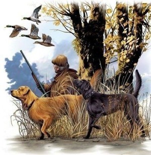 Kaida-fish на ВДНХ