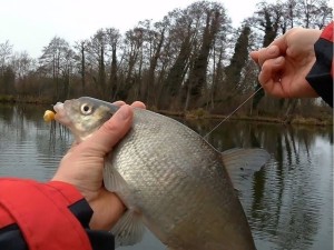 Kaida-fish на Электрозаводской