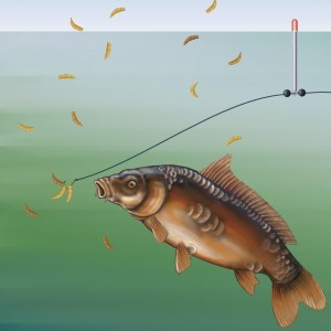 Daiwa-rus на Новослободской