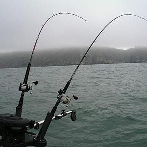 0d052b64b602dc01007e7d8d68b5dbb2 Арт-фишинг на Народном Ополчении