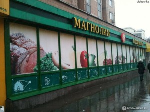 47 Магнолия на Гражданской