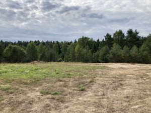 18 Подмосковная ривьера на Водном стадионе