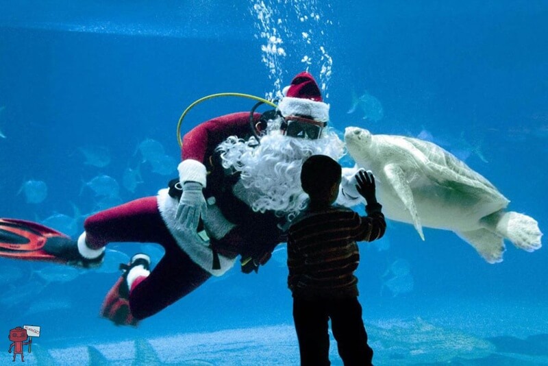 Москвариум