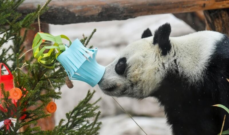 Московский зоопарк
