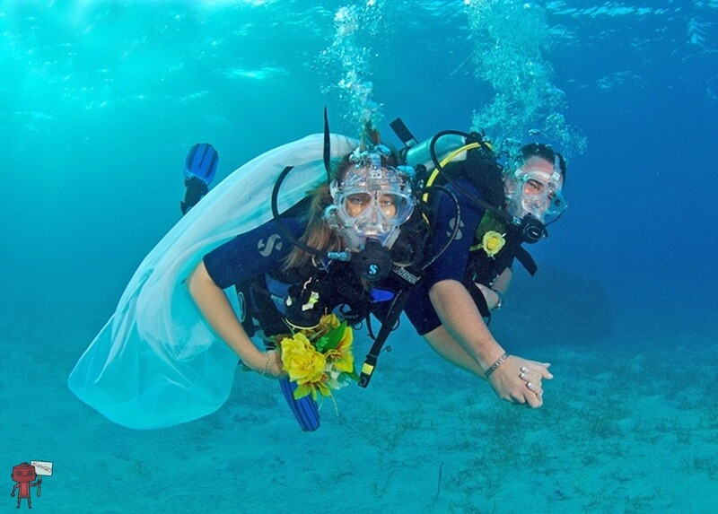 Moscow Diving